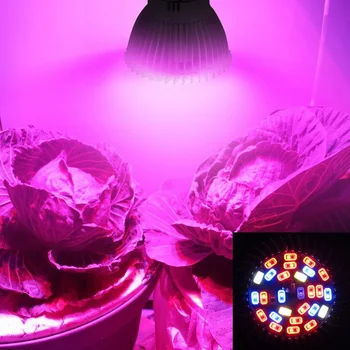 50pcs Celoten Spekter E14 LED Grow Light Svetilka 28 SMD Led Rastejo Žarnica za Hydroponics Cvetje, Rastline, Vrtnine Rastejo Polje