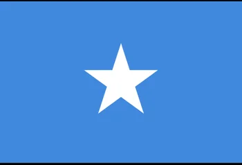 Celoten sveženj Somaliji 50 Šilingov 1991, redni Snop 100 KOS Ugotavlja, P-R2, UNC, Prvotno Opomba