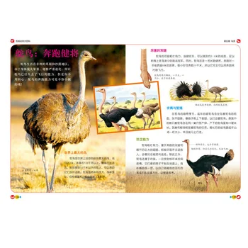 Kitajski Otroke, Enciklopedija Živali Knjiga Študentov Odkritje Živalski Svet 8-12 starosti Libros Livros Kitaplar Umetnosti