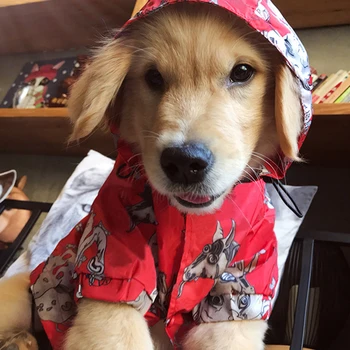 Pes hoodies za Majhne Pse Windbreaker za Chihuahua francoski Buldog Pet jakno za Kuža, Mačka Kostum PC1136