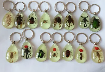Sij-v-Temno Pravi Insektov Keychain Svetlobna Ročno Smolo Naravno Zeleno Hrošč Key Ring edinstveno ključnih verige za žensko, moškega