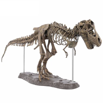 Velik Dinozaver Fosilnih Lobanje Živali Model Igrače Tyrannosaurus Rex Zbrati Skelet Modela Oprema Izdelki Za Dekoracijo