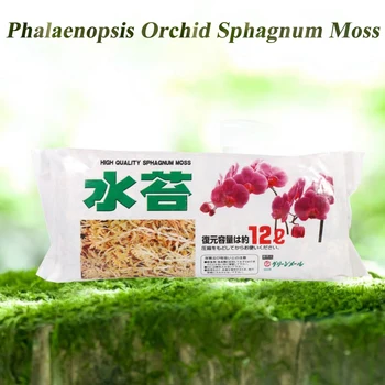 Visoka Kakovost Večfunkcijsko Vrt Dobave Mah Sphagnum Vlažilne Prehrana Organsko Gnojilo Za Orhideje Phalaenopsis
