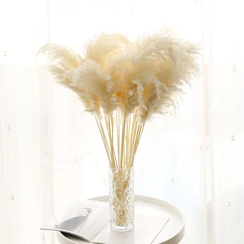 1Bunch Naravnih Reed Posušen Cvet Pampe Travo Phragmites Šopek DIY Obrti Doma Dekor Božič Venec Poročne Dekoracije