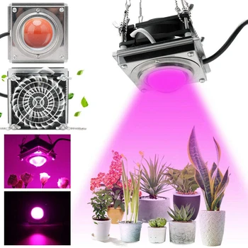 COB LED Grow Light Zaprtih Ffs Lučka Za Rastline 1000W Celoten Spekter Led Lučka za Rast Rastejo Šotor Polje Sijalke Za Dom, Rastline, Cvetje