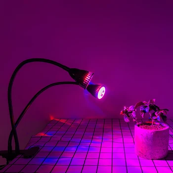 LED Tabela Ffs Lučka 10W 85-265V Celoten Spekter Zatemniti Prilagodljiv Dvojno Žarnica Modra Rdeča Led Čip za uporabo v Zaprtih prostorih Rastlin Cvet Semena