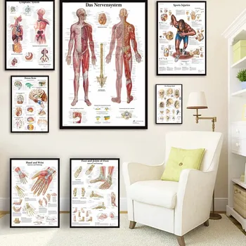 Platno Slikarstvo Človeške Anatomije Mišice Sistem Umetnosti Plakatov, Tiskanje Telo Zemljevid, Platno Stenske Slike za Znanost Medicine Spalnica Dekor