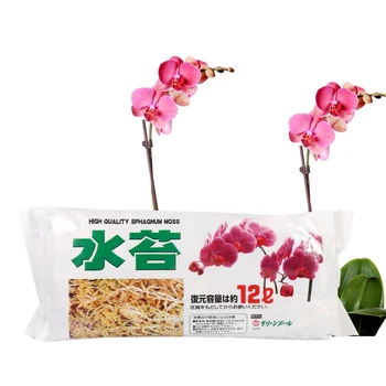 Visoka Kakovost Večfunkcijsko Vrt Dobave Mah Sphagnum Vlažilne Prehrana Organsko Gnojilo Za Orhideje Phalaenopsis
