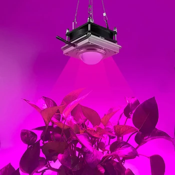 COB LED Grow Light Zaprtih Ffs Lučka Za Rastline 1000W Celoten Spekter Led Lučka za Rast Rastejo Šotor Polje Sijalke Za Dom, Rastline, Cvetje