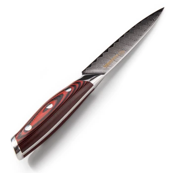 Damask Kuhinjski Noži 4 Kos Zrezek Nož Set 67 Plasti VG10 Japonski Damask Jekla Rdeče G10 Ročaj Kuhinjski Noži, Jedilni pribor Orodja