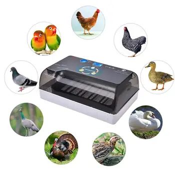 Jajce Inkubator 9-35 Jajca Digitalni Celoti 110V/220V50/60H Avtomatski Inkubator Perutnine Hatcher Pralni za Piščanci Race Gosi Ptice
