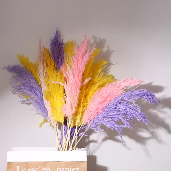 1Bunch Naravnih Reed Posušen Cvet Pampe Travo Phragmites Šopek DIY Obrti Doma Dekor Božič Venec Poročne Dekoracije