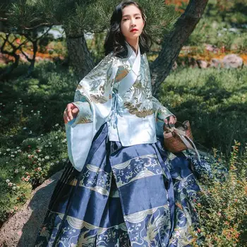 Ženske Hanfu Pravljice, Cosplay Kostume Stopnji Uspešnosti Oblačila Klasičnih Starih Cvet Visoko Pomlad Qulity Tang Bo Ustrezala Plesne Obleke