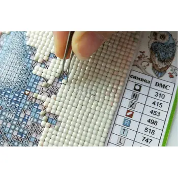 5D diamond vezenje Japonski ženska polno diamond slikarstvo navzkrižno šiv kristalno kvadratnih diamantno art dekorativni diy mozaik puzzle