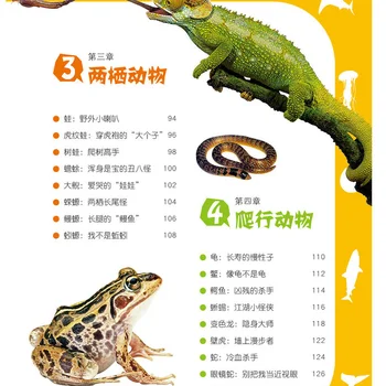 Kitajski Otroke, Enciklopedija Živali Knjiga Študentov Odkritje Živalski Svet 8-12 starosti Libros Livros Kitaplar Umetnosti