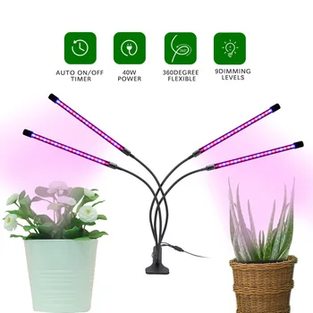 Phytolamp za Rastline LED Grow Light USB Ffs Lučka Celoten Spekter Fitolampy Nadzor za Rastline, Sadike Cvet Zaprtih Phytolamp