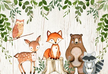 Črni petek Velik Prodaje Gozd Stranka Rojstni dan Ozadje za Otroke Gozd Fox Živali Ozadju, Foto Studio, ki je Na Zalogi